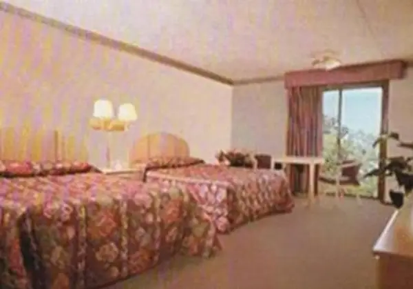 Chateau Royale Inn 6